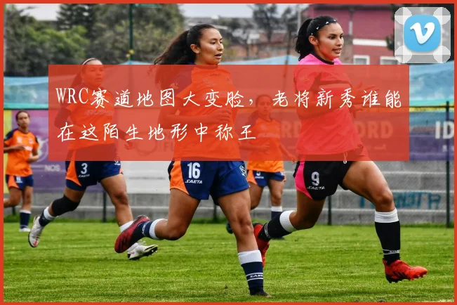 WRC赛道地图大变脸，老将新秀谁能在这陌生地形中称王